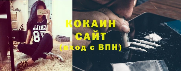 прущие грибы Алексин