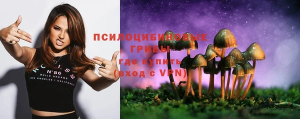 прущие грибы Алексин