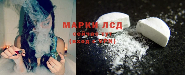 прущие грибы Алексин
