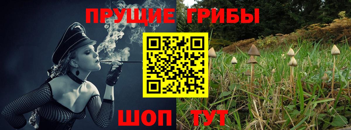 Муравленко  Галлюциногенные грибы мицелий  Вход с VPN 