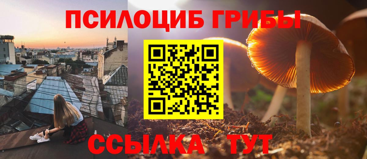 Псилоцибиновые грибы Cubensis Муравленко